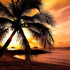 Meet your Posher, Bella